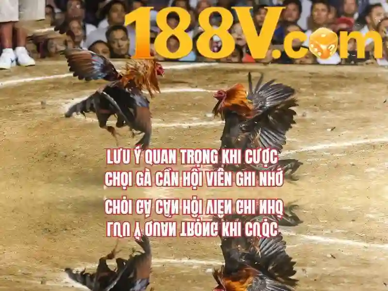 188V - 188v 188vv com vn - 188v chính thức